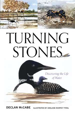 Turning Stones de Declan McCabe