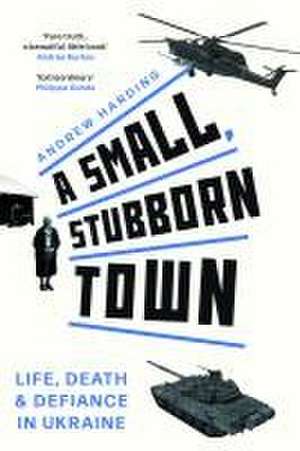 A Small, Stubborn Town de Andrew Harding