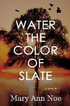 Water the Color of Slate de Mary Ann Noe