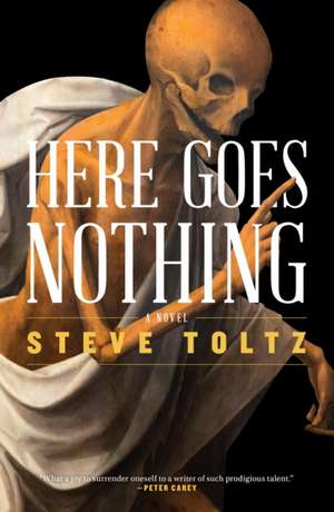 Here Goes Nothing de Steve Toltz