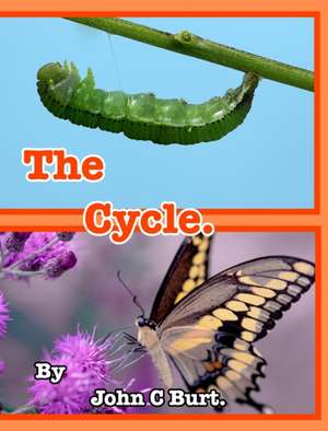 The Cycle . de John C Burt
