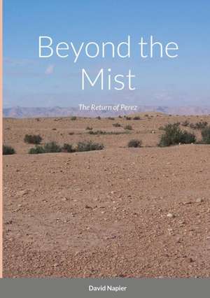 Beyond the Mist de David Napier