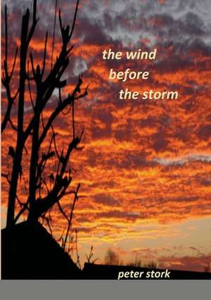 the wind before the storm de Peter Stork