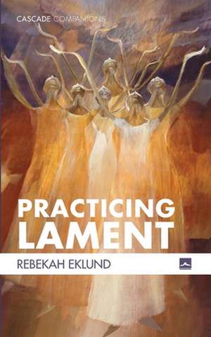 Practicing Lament de Rebekah Eklund