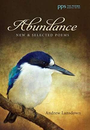Abundance de Andrew Lansdown