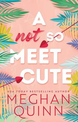 A Not So Meet Cute de Meghan Quinn