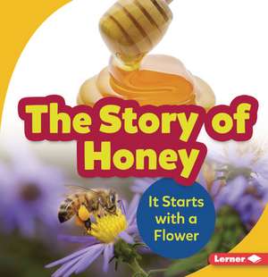 The Story of Honey de Robin Nelson