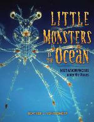 Little Monsters of the Ocean de Heather L Montgomery