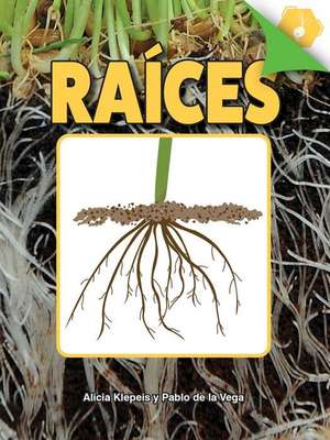 Raices de Alicia Klepeis