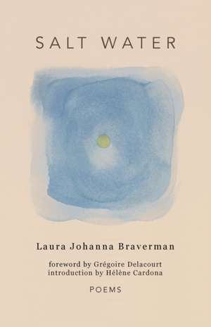 Salt Water de Laura Johanna Braverman