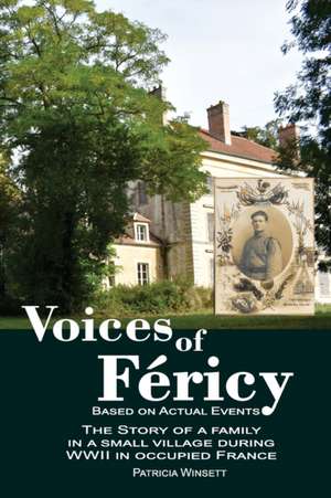 Voices of Féricy de Patricia Winsett