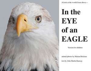 In the Eye of an Eagle de John Martin Ramsay