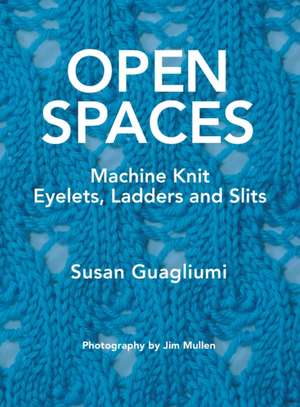 Open Spaces de Susan Guagliumi