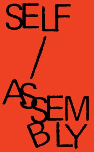 Self Assembly de Whitney Hubbs