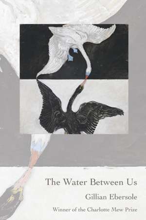 The Water Between Us de Gillian Ebersole