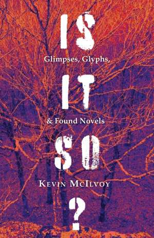 Is It So? Glimpses, Glyphs, & Found Novels de Kevin McIlvoy