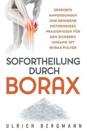 Sofortheilung durch Borax de Ulrich Bergmann