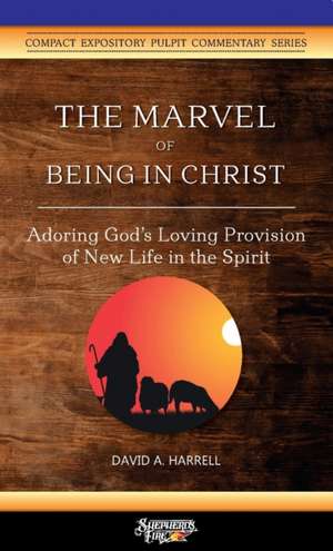 The Marvel of Being in Christ de David A. Harrell