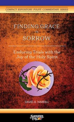 Finding Grace in Sorrow de David A Harrell