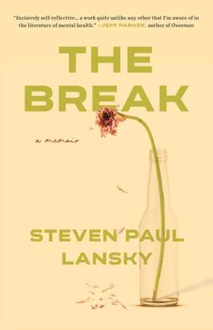 The Break de Steven P Lansky