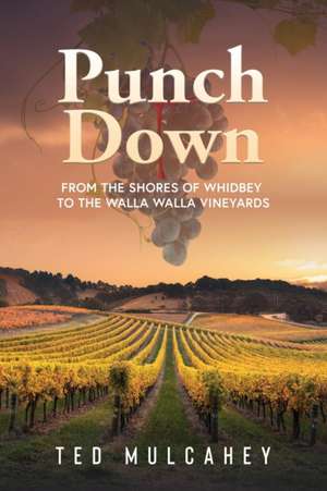 Punch Down de Ted Mulcahey