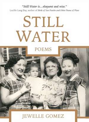 Still Water: Poems de Jewelle Gomez