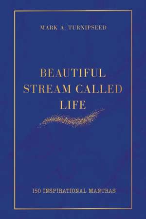 Beautiful Stream Called Life de Mark A Turnipseed