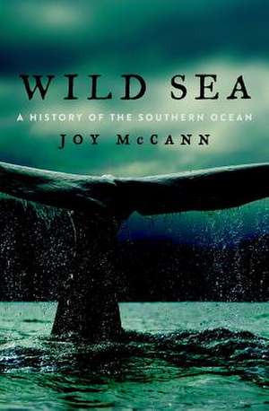 Wild Sea de Joy McCann