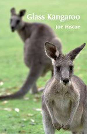 Glass Kangaroo de Joe Pascoe