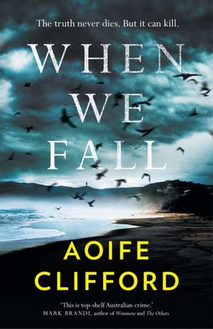 When We Fall de Aoife Clifford