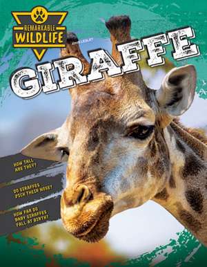 Giraffe de John Lesley