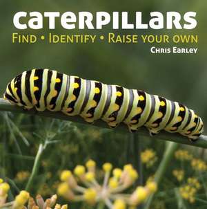 Caterpillars de Chris Earley