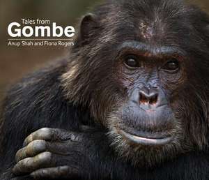 Tales from Gombe de Anup Shah