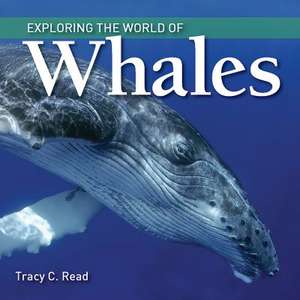 Exploring the World of Whales de Tracy C Read