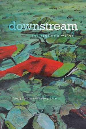 downstream: reimagining water de Dorothy Christian