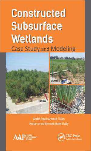 Constructed Subsurface Wetlands de Abdel Razik Ahmed Zidan