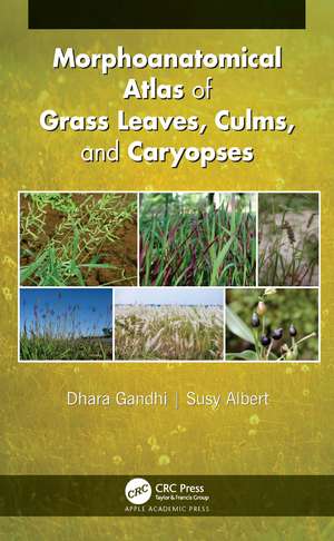 Morphoanatomical Atlas of Grass Leaves, Culms, and Caryopses de Dhara Gandhi