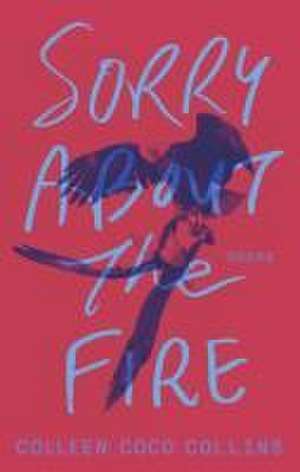 Sorry About the Fire de Colleen Coco Collins