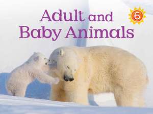 Adult and Baby Animals: English Edition de Kelly Ward-Wills