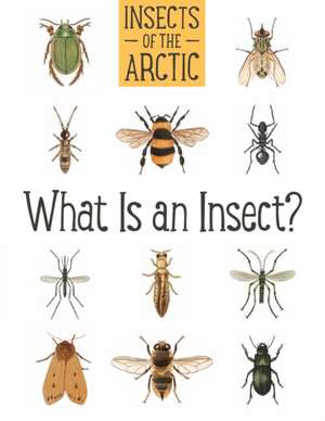 Insects of the Arctic: What Is an Insect?: English Edition de Carolyn Mallory