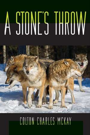 A Stone's Throw de Colton Mckay