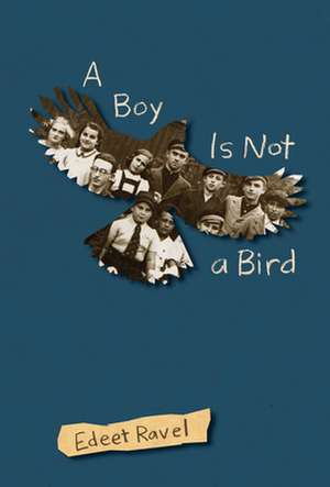 Boy Is Not a Bird de Edeet Ravel