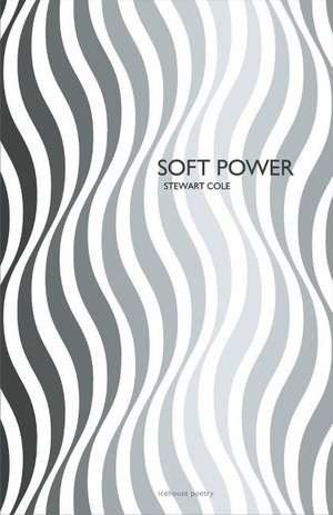 Soft Power de Stewart Cole