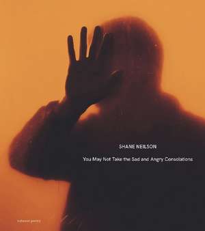 You May Not Take the Sad and Angry Consolations de Shane Neilson