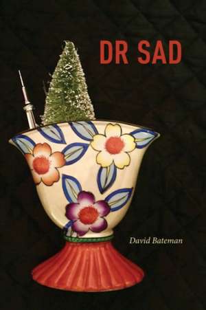 Dr Sad de David Bateman