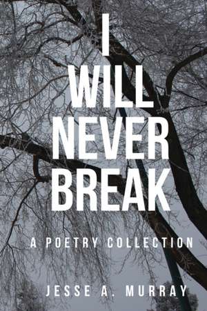 I Will Never Break de Jesse A. Murray