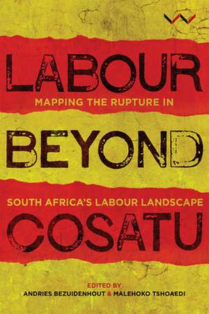 Labour Beyond Cosatu de Andries Bezuidenhout