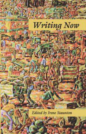 Writing Now de Irene Staunton