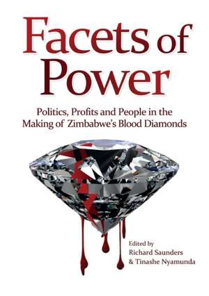 Facets of Power. Politics, Profits and People in the Making of Zimbabwe's Blood Diamonds de Tinashe Nyamunda