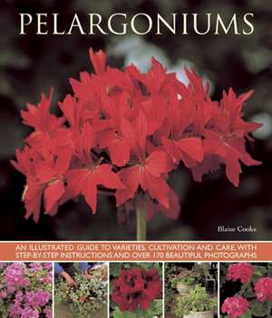 Pelargoniums de Blaise Cooke